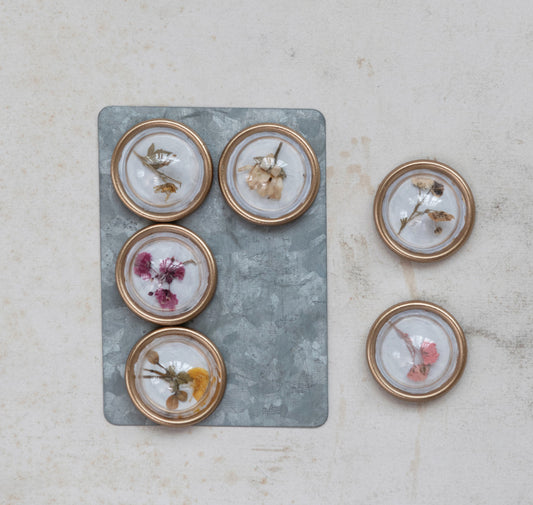 Botanical Magnets Set of 6